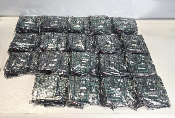 lot of 19x Keri Systems PXL-5xx Access Control Board + SB-593 Expansion
