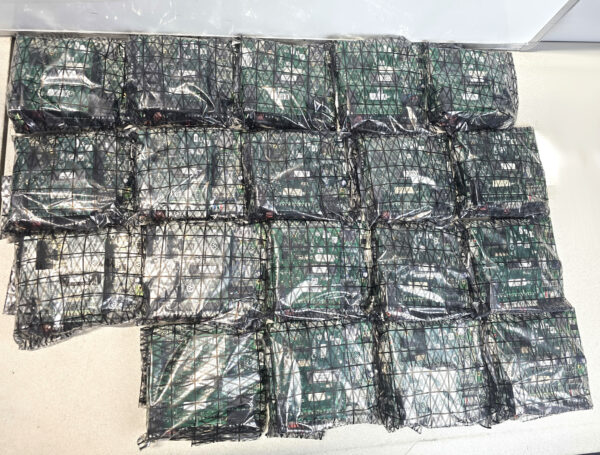 lot of 19x Keri Systems PXL-5xx Access Control Board + SB-593 Expansion